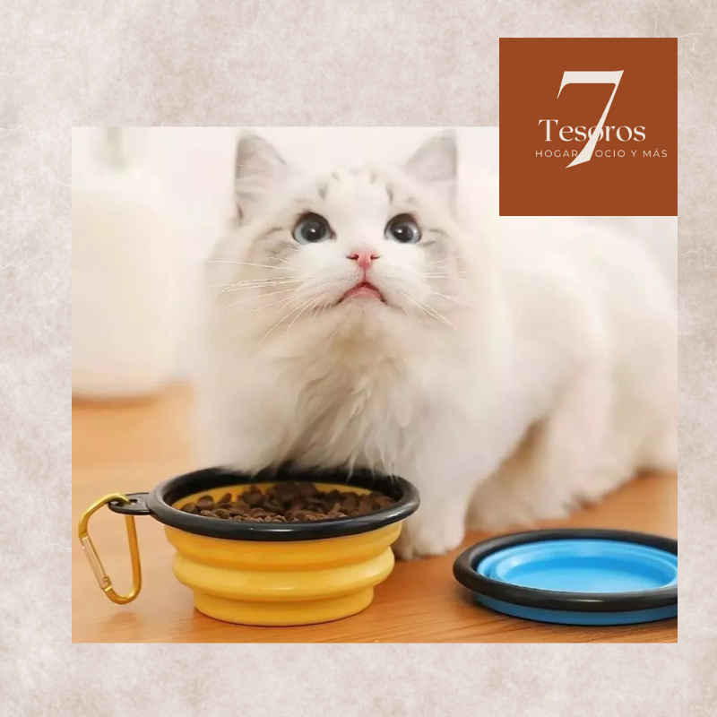 ➡️Pack: Plato Plegable+ Cepillo de Baño + Dispensador bolsas caca perro OFERTA DESTACADA