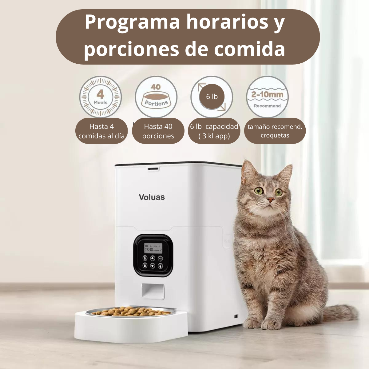 ➡️Dispensador de Comida Automático mascotas ¡40% de descuento!