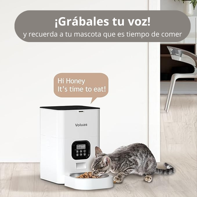 ➡️Dispensador de Comida Automático mascotas ¡40% de descuento!