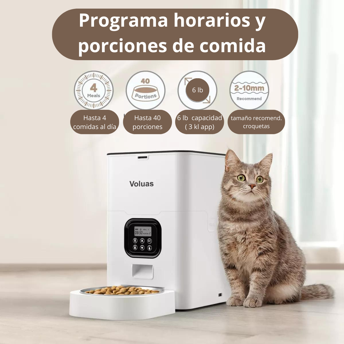 ➡️Dispensador de Comida Automático mascotas  ¡40% de descuento!