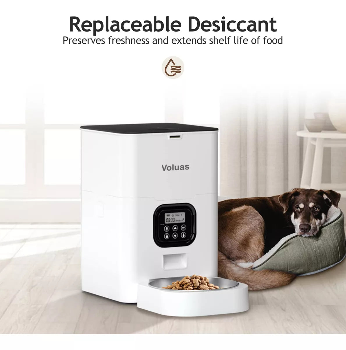 ➡️Dispensador de Comida Automático mascotas  ¡40% de descuento!