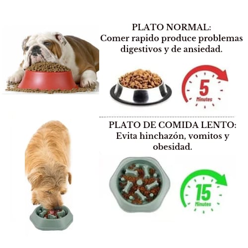 ➡️ Plato Anti Ansiedad Para Mascotas